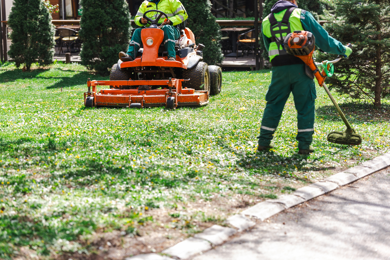 Landscaping service